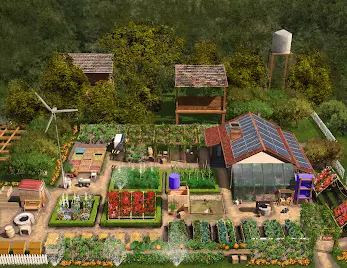 The Self Sufficient Backyard