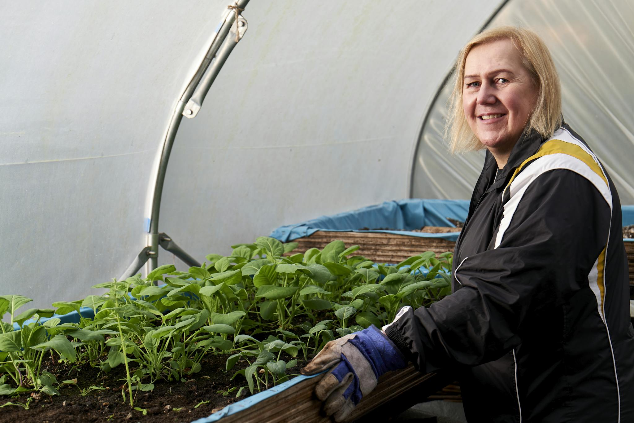 An elderly woman tending to plants in a greenhouse, showcasing horticulture in Greater Manchester.