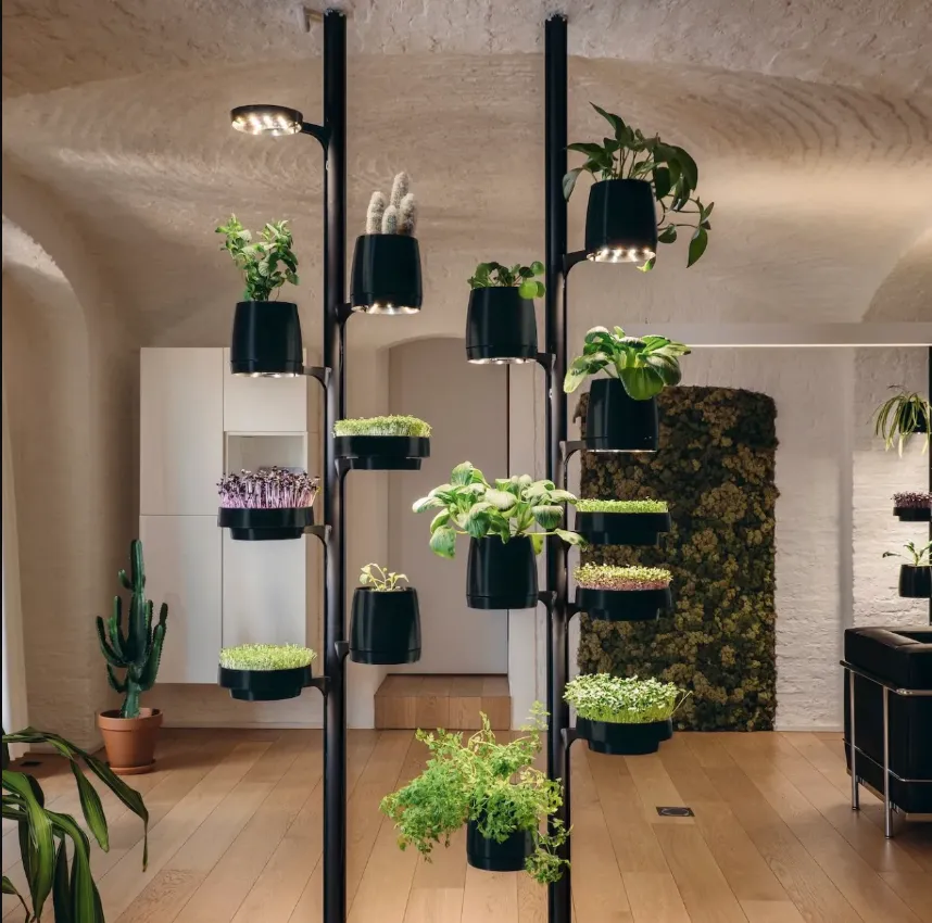 Indoor Gardening1