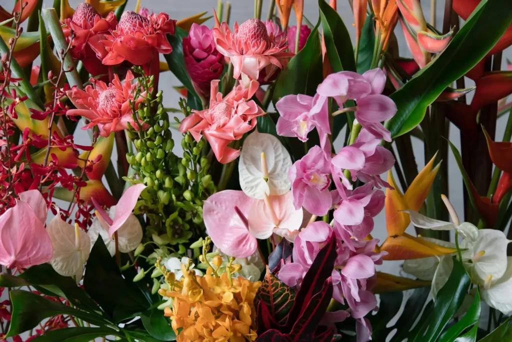 Fresh Flowers Delivered